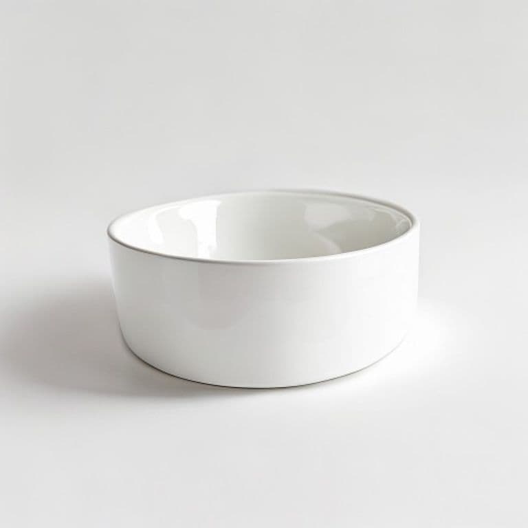 Gamelle blanc