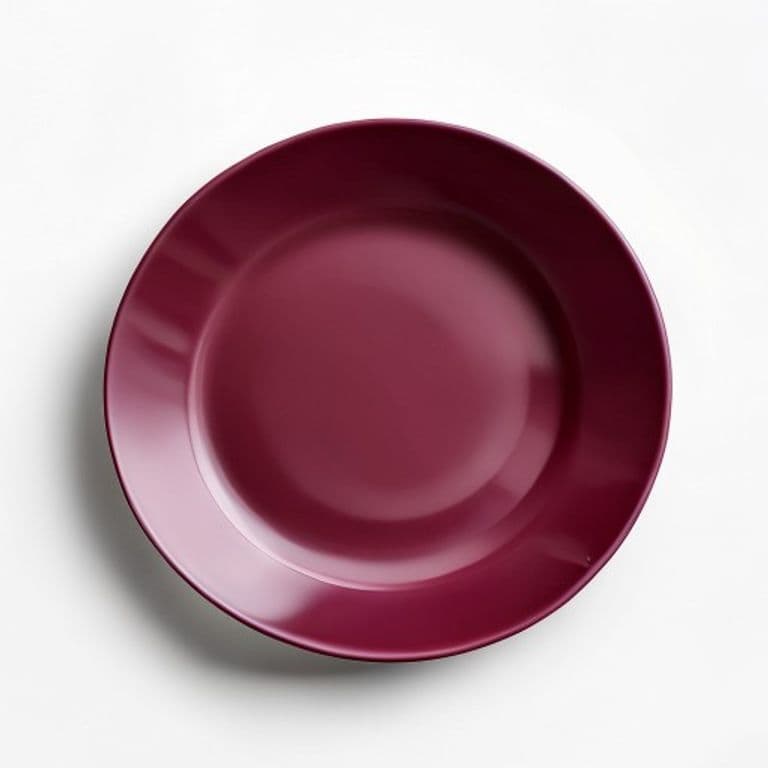 Assiette bébé bordeaux