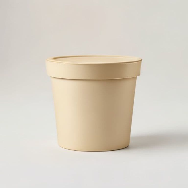 Boîte de conservation céramique