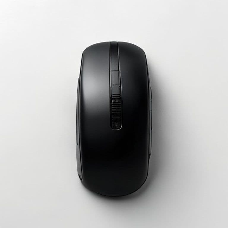 Souris sans fil noir